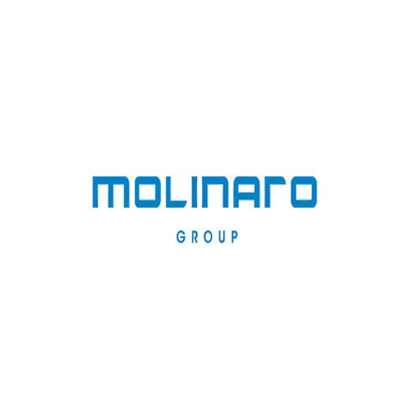 Molinaro group logo LiveSite® real estate sales software client